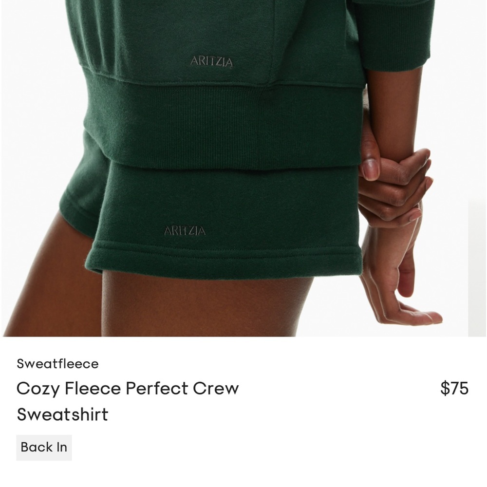 Aritzia crewneck